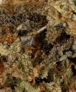 CHERRY DIESEL Unkraut