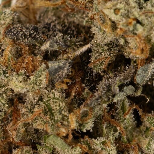 CHERRY DIESEL Unkraut