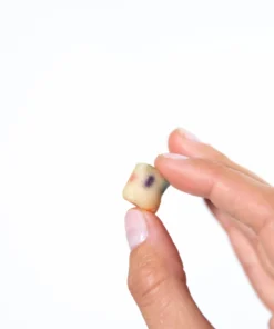 DOPE DOUGH Variety Pack