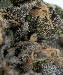 Cannabis in einer Kiste